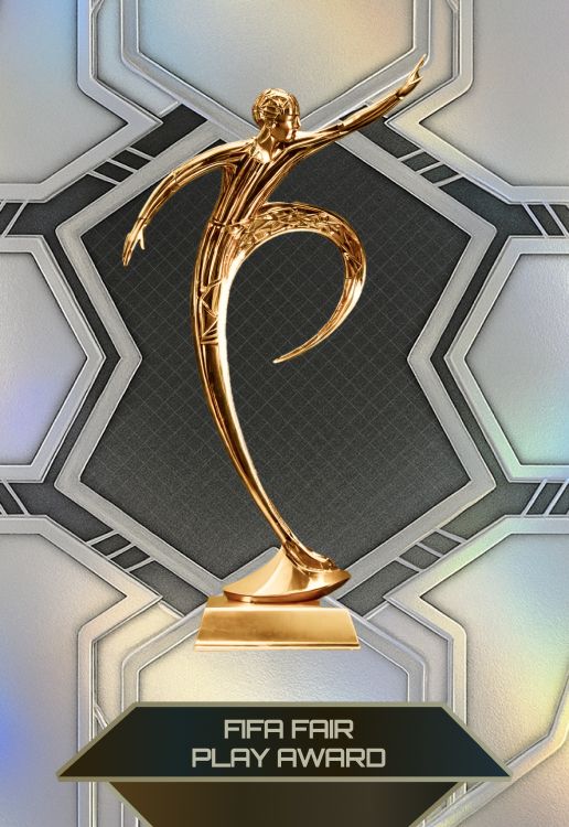 FIFA Fair Play Award